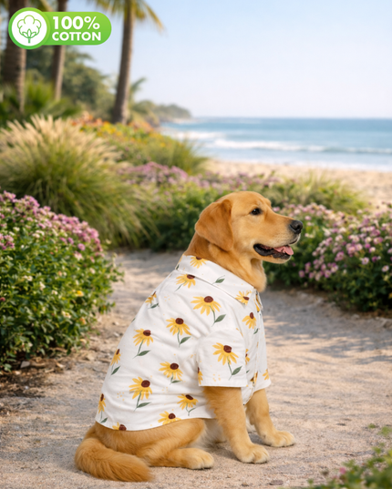Yellow Sunflower Cotton Dog Shirt