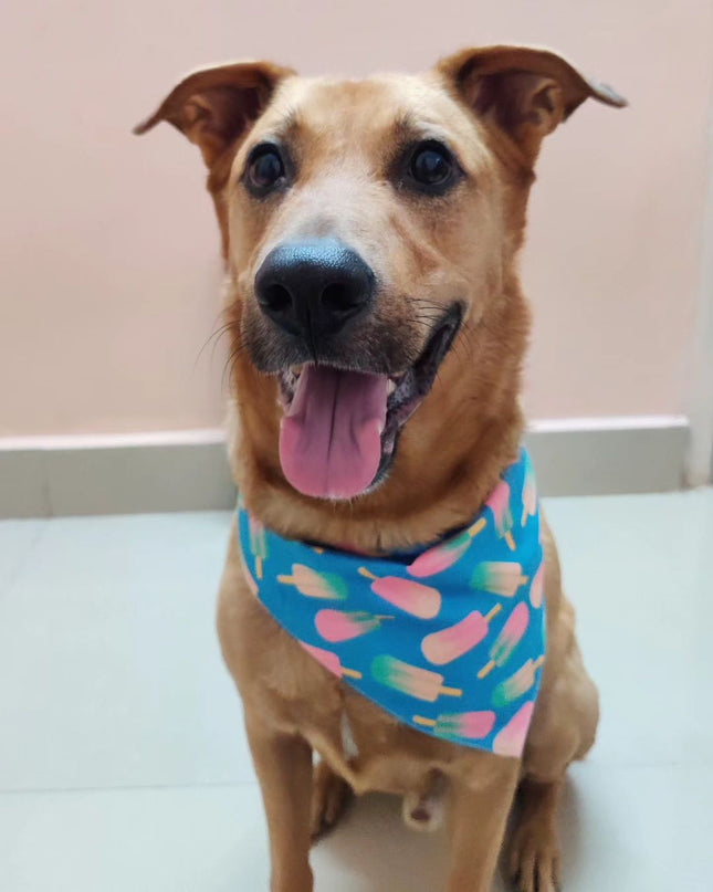 Ice Candy Bandana