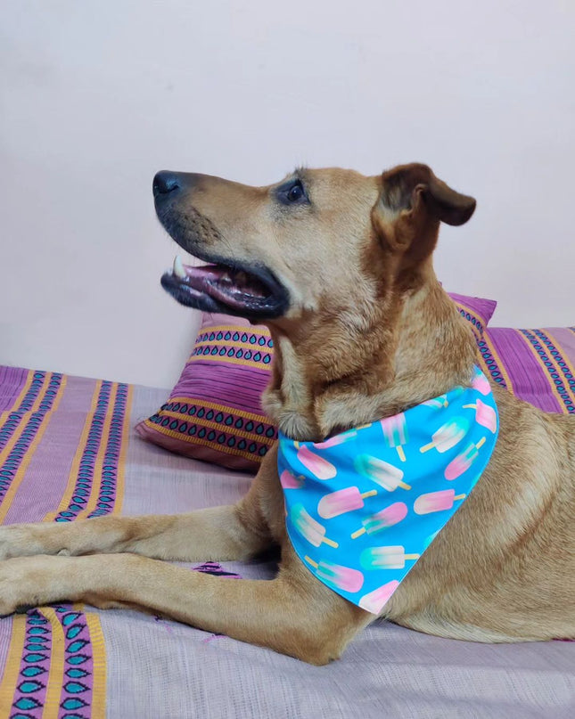 Ice Candy Bandana