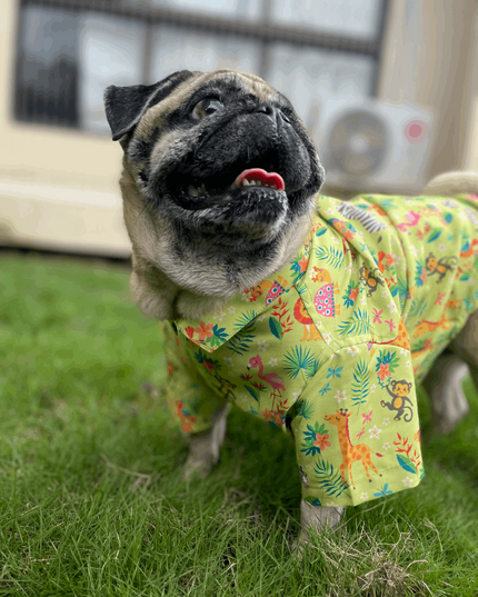 Madagascar Dog Shirt