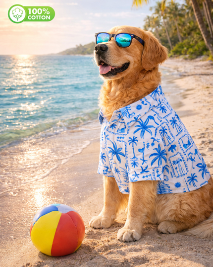 Tropical Blue Postcard Cotton Dog Shirt