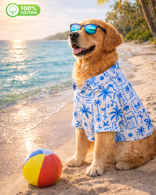 Tropical Blue Postcard Cotton Dog Shirt