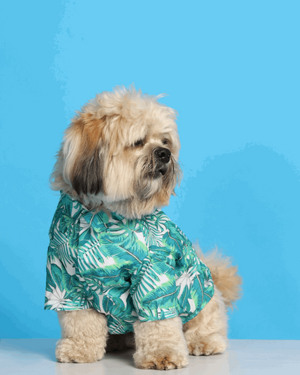 Rainforest Dog Shirt