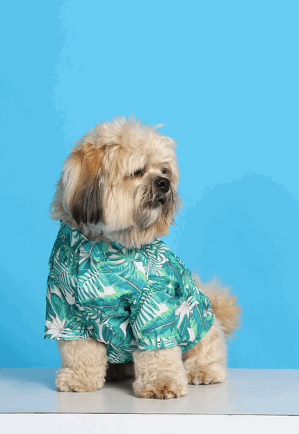 Rainforest Dog Shirt