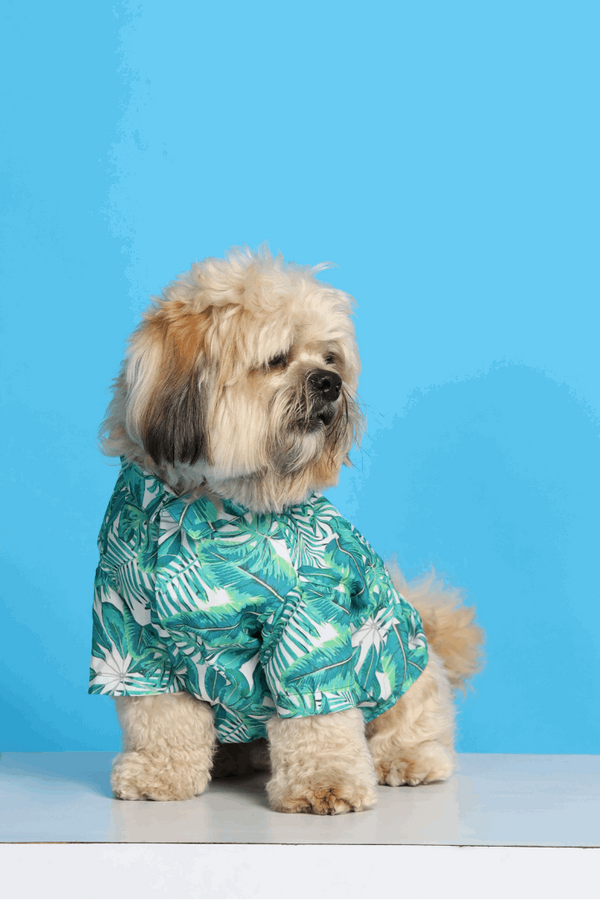 Rainforest Dog Shirt