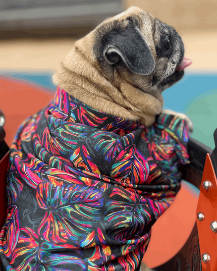 Neon Tropical Dog Shirt