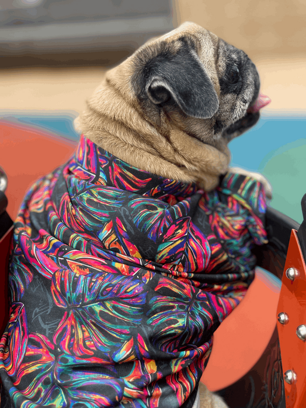 Neon Tropical Dog Shirt