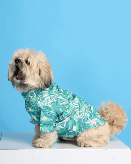 Rainforest Dog Shirt