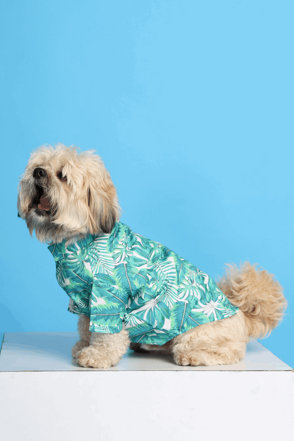 Rainforest Dog Shirt