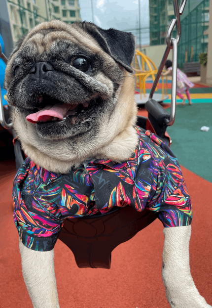 Neon Tropical Dog Shirt