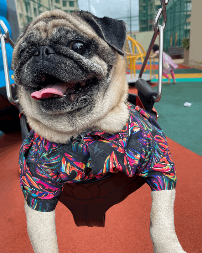 Neon Tropical Dog Shirt