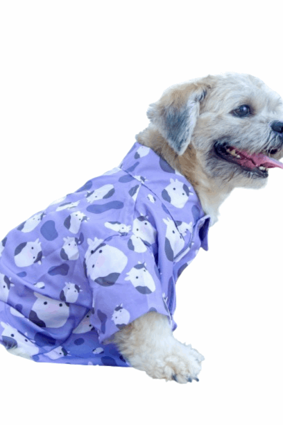 Cute Cow Dog Shirt