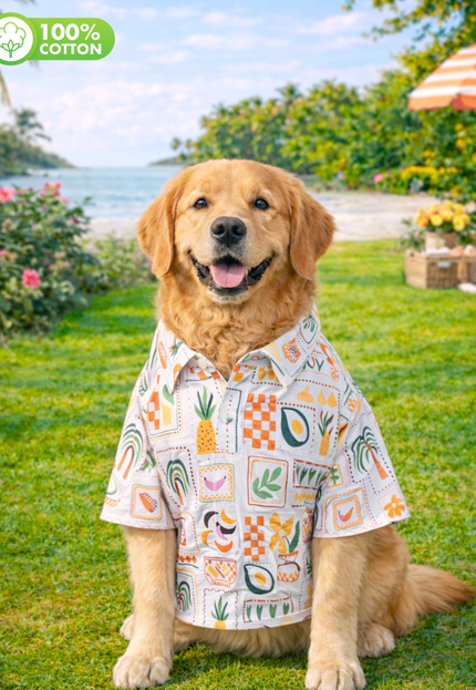 Fruits Tropical Cotton Dog Shirt