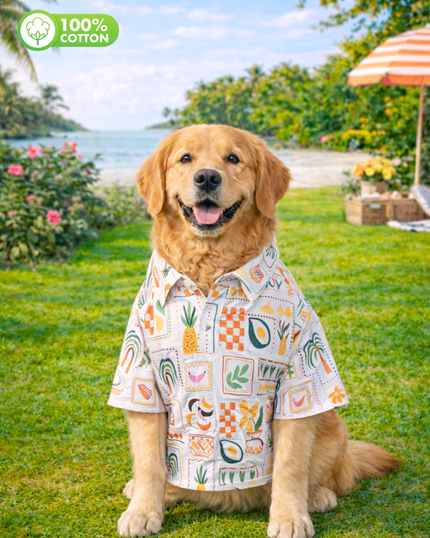 Fruits Tropical Cotton Dog Shirt