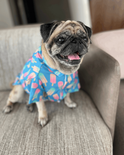 Ice Candy Dog Shirt