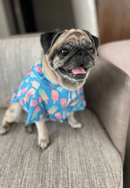 Ice Candy Dog Shirt