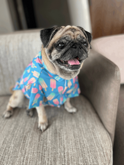 Ice Candy Dog Shirt