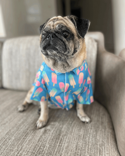 Ice Candy Dog Shirt