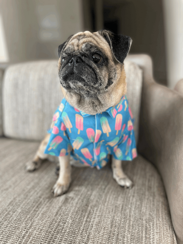 Ice Candy Dog Shirt