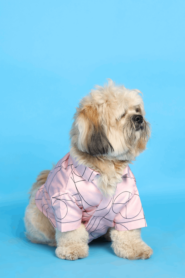 Pink Satin Dog Shirt