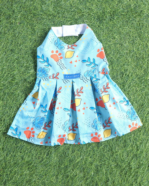 Monstera Tropical Dog Dress