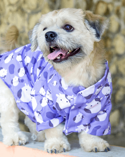 Cute Cow Dog Shirt