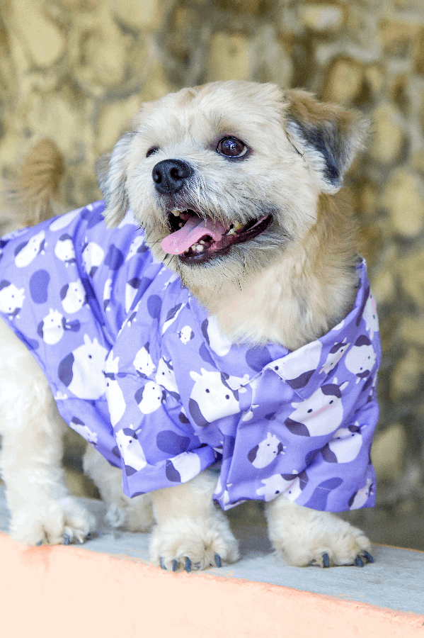 Cute Cow Dog Shirt