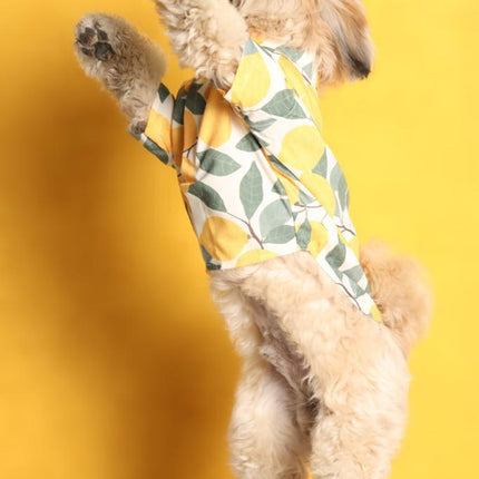 Collection image for: Dog Shirts