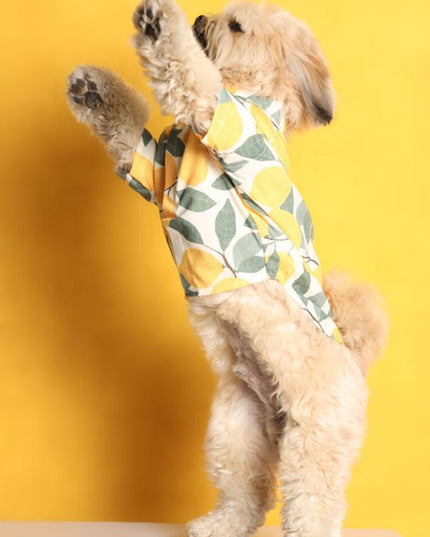 Limon Dog Shirt