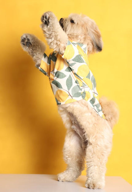 Limon Dog Shirt