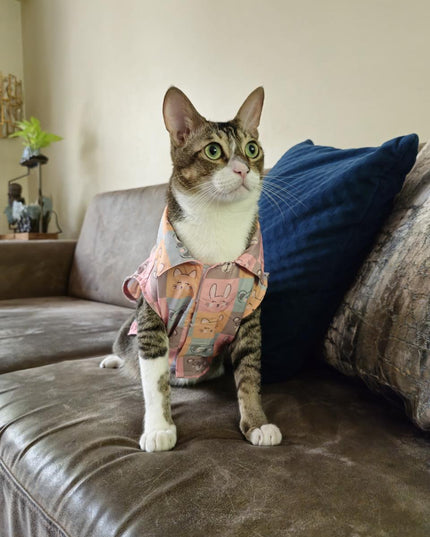 KITTY DREAMS CAT SHIRT