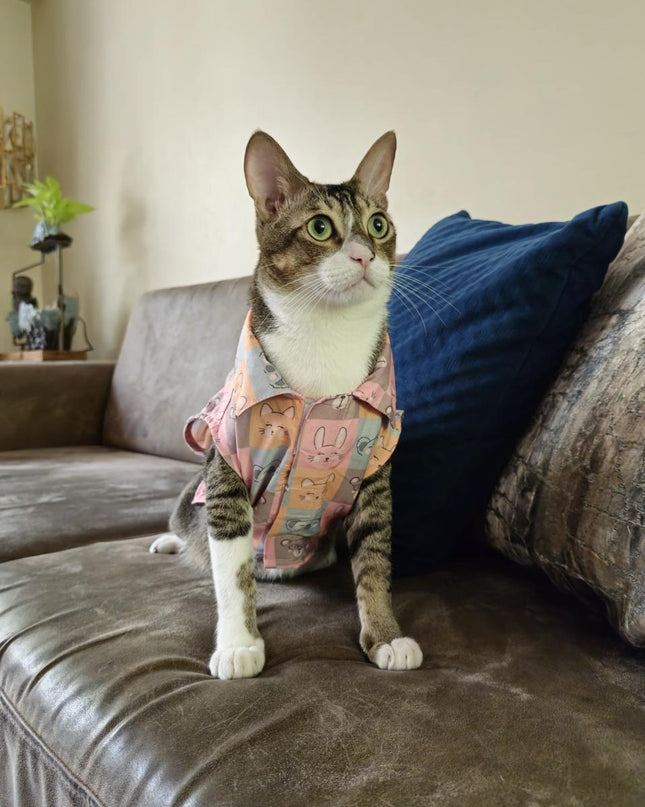 KITTY DREAMS CAT SHIRT