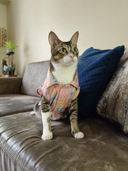 KITTY DREAMS CAT SHIRT