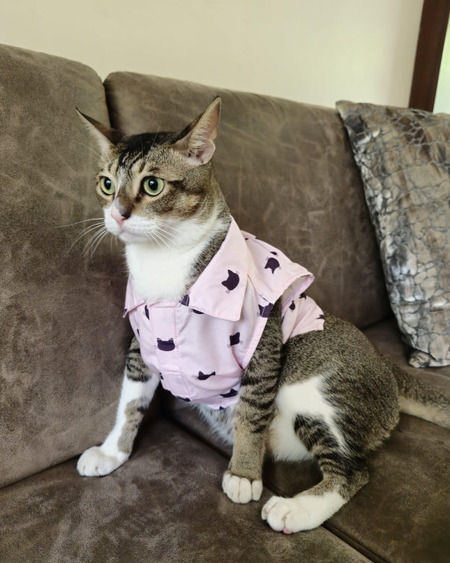 PURFECT PINK CAT SHIRT
