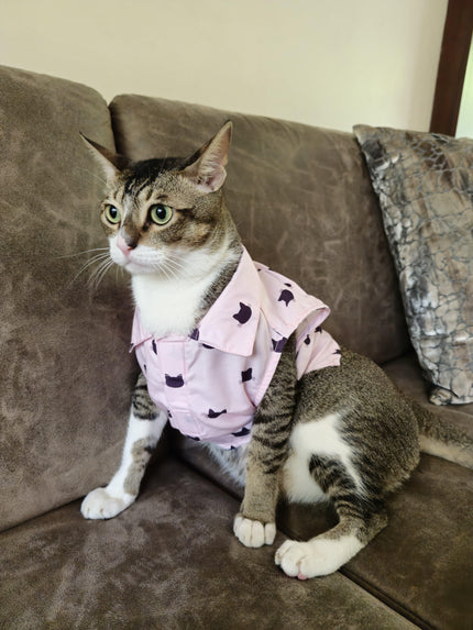 PURFECT PINK CAT SHIRT