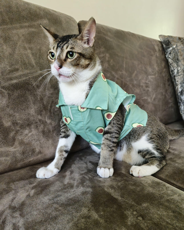 AVOCADO CAT SHIRT