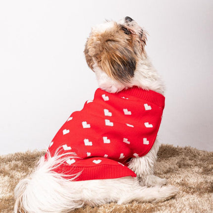 Collection image for: Dog Sweater