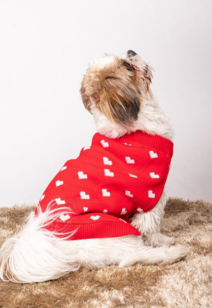 Red Heart Sweater