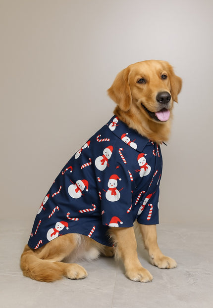 Snowman Dog Shirt