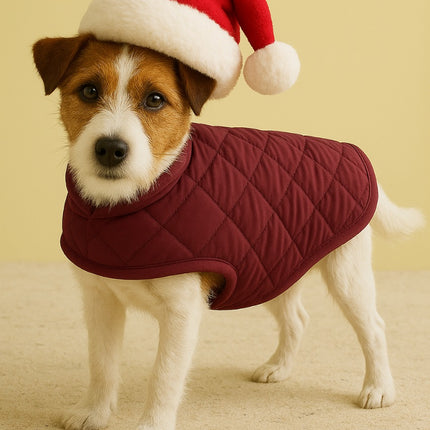 Collection image for: Dog Jacket