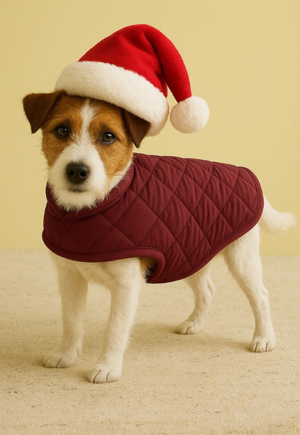 Wine Puffer Jacket