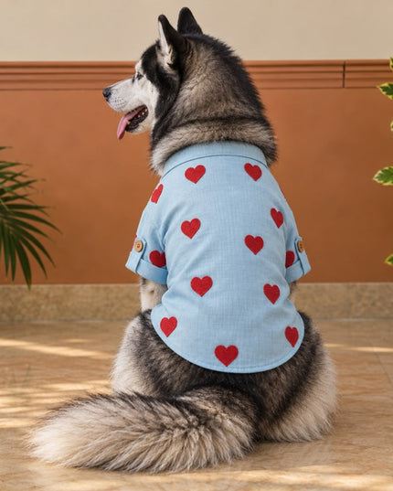 LINEN HEART EMBROIDERY DOG KURTA- BABY BLUE