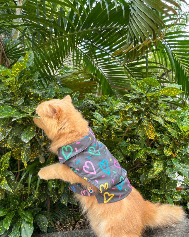 HEART BUZZ CAT SHIRT