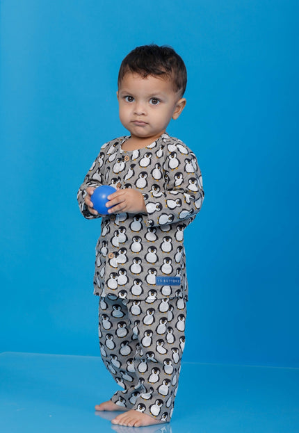 Icy Penguin Sleep Suit Boy