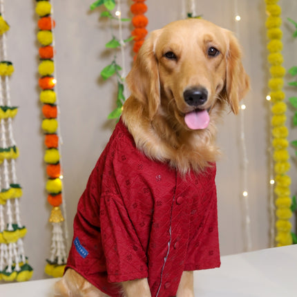 Collection image for: Dog Sherwanis