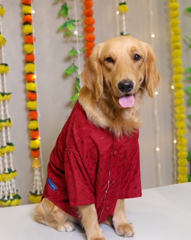 Red Dog Sherwani
