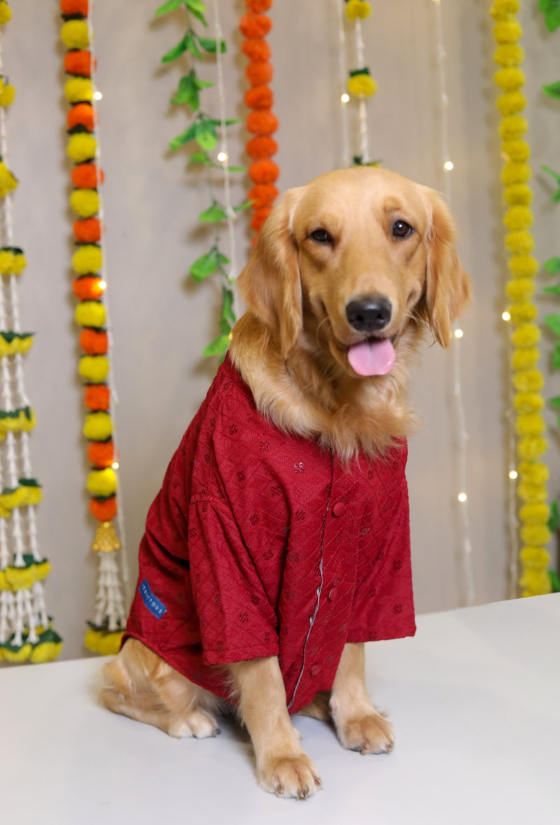 Red Dog Sherwani