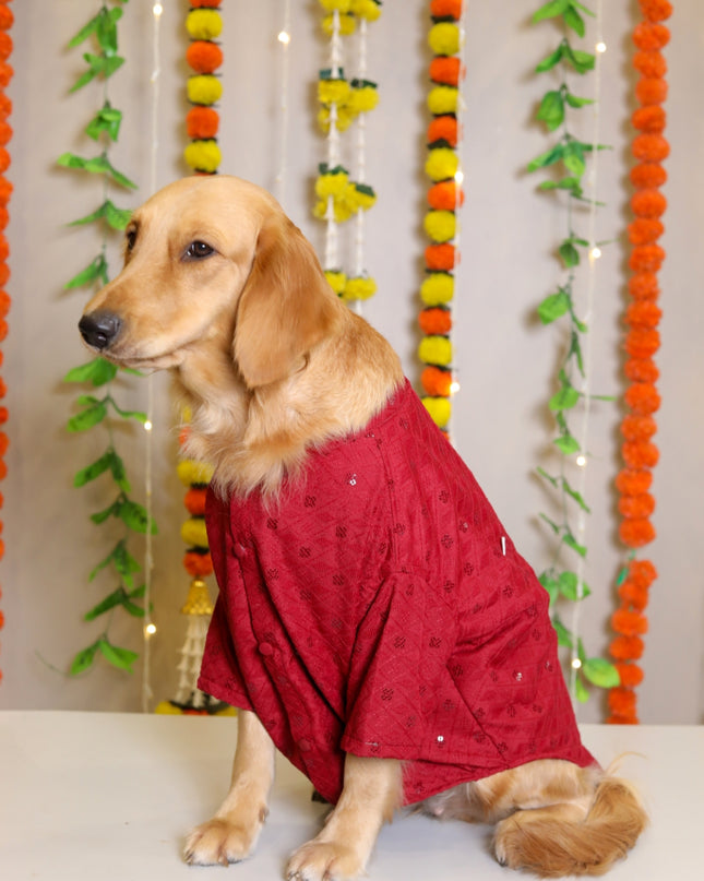 Red Dog Sherwani