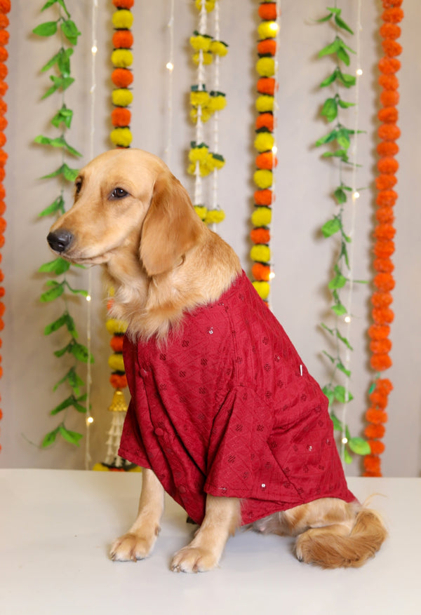 Red Dog Sherwani