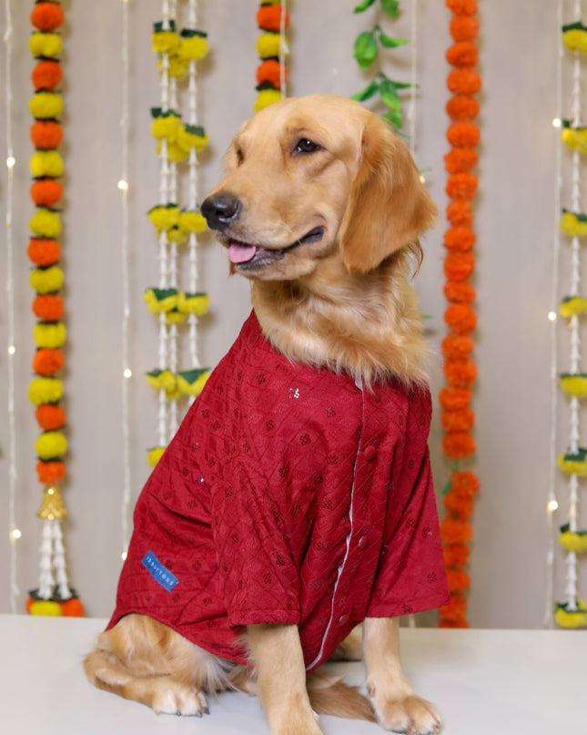 Red Dog Sherwani